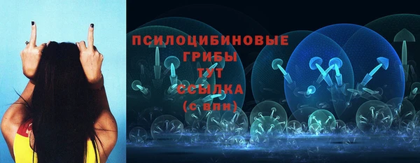 соль ск Арсеньев