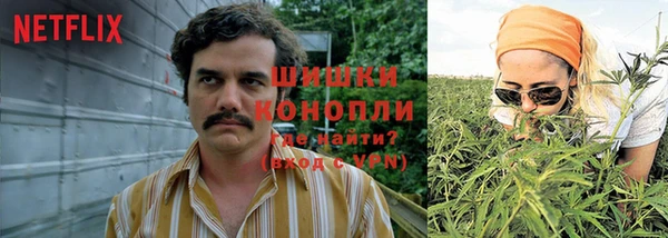 соль ск Арсеньев