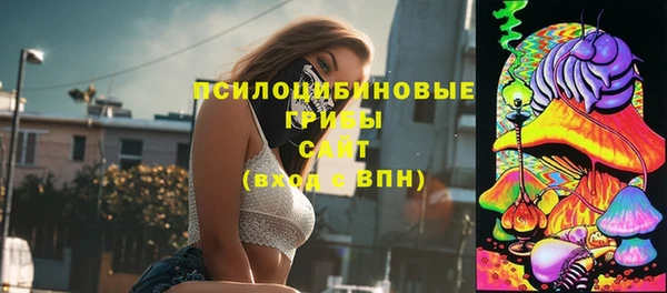 соль ск Арсеньев