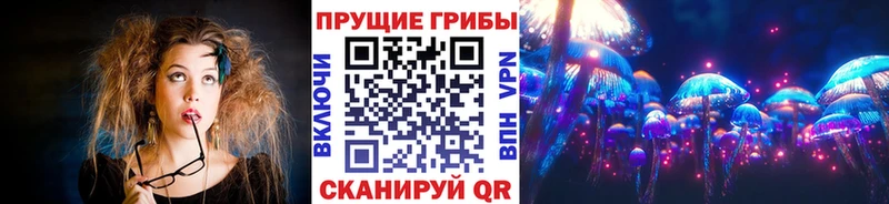 Псилоцибиновые грибы Psilocybe  дарнет шоп  Армянск 
